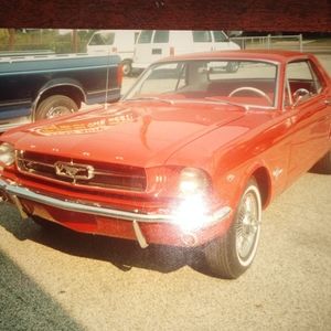 Meet your Posher, Larry